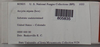 Image Associated With the Occurence